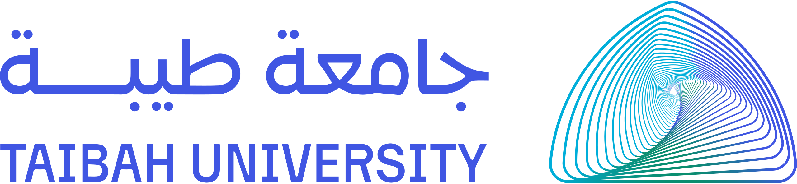جامعه طيبة